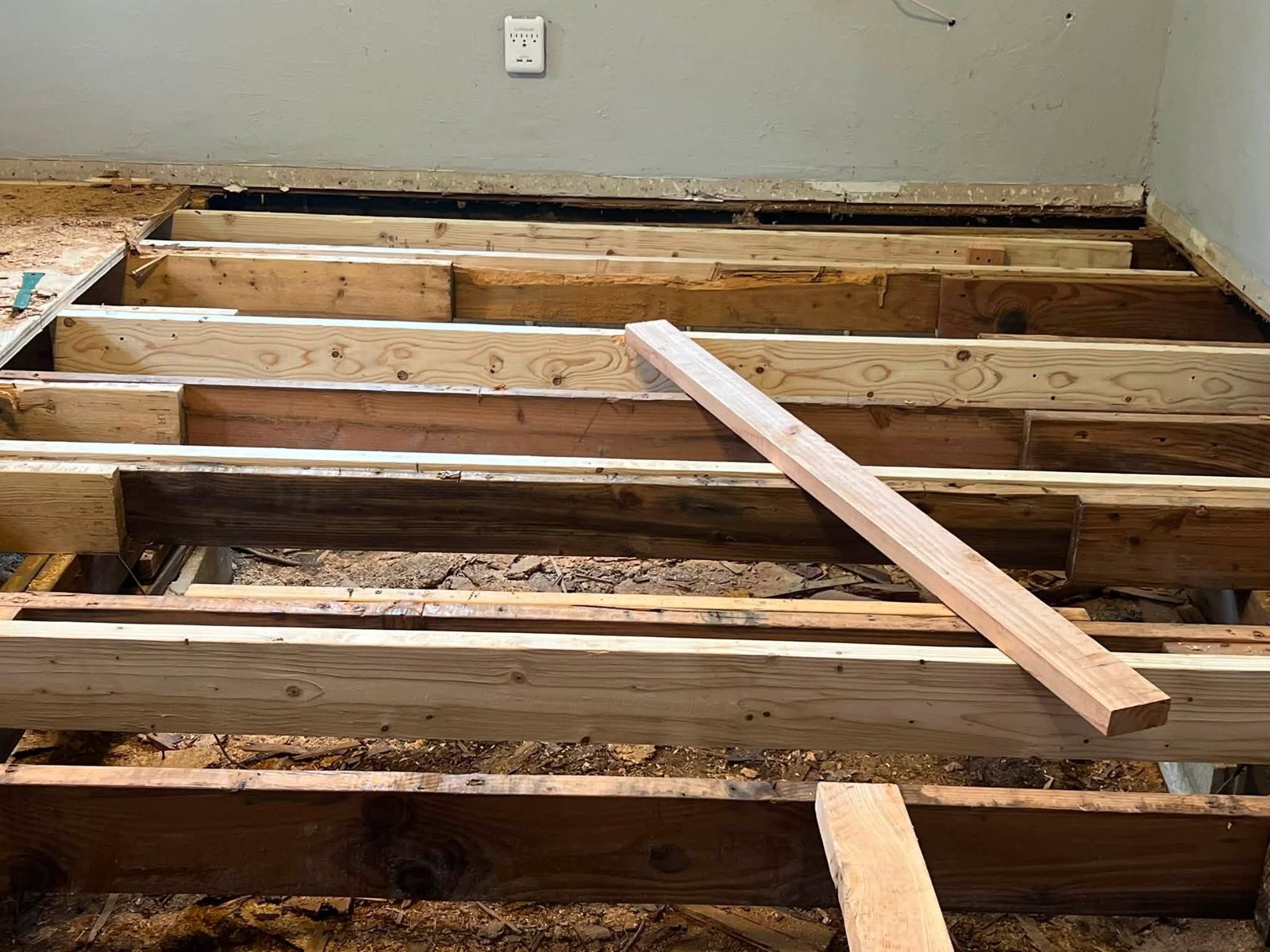 Old floor removed, joists exposed and sistered